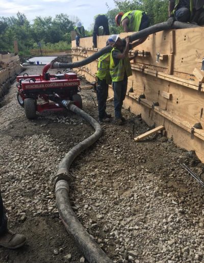 Concrete Line Dragon